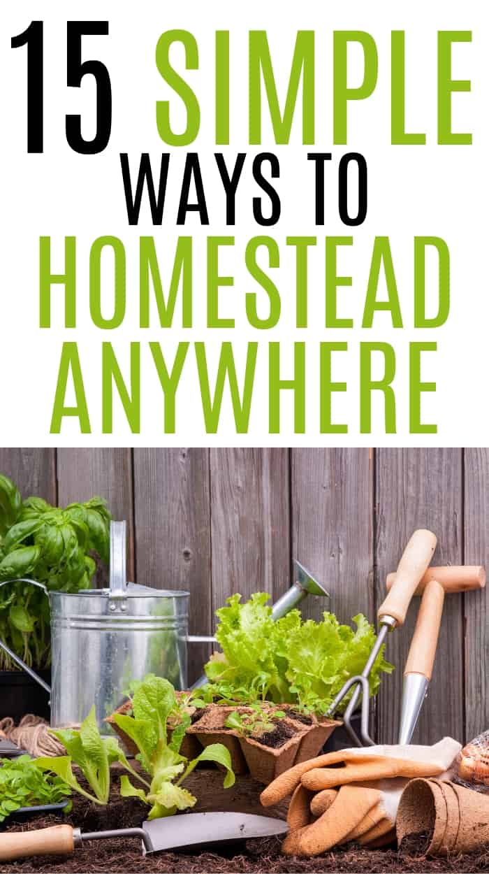 homesteading with kids