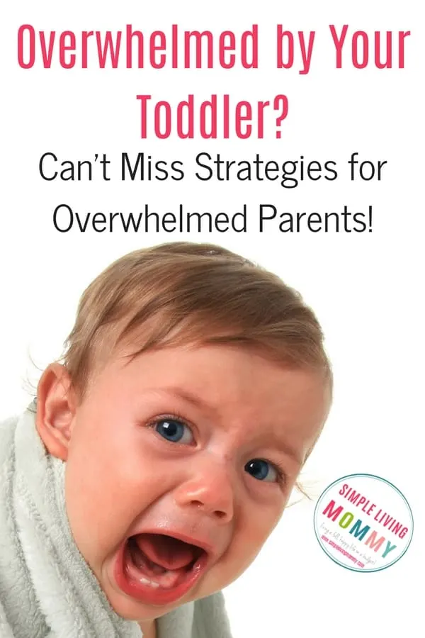 I hate my toddler