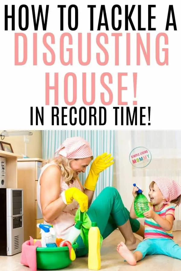 fastest way to clean a house