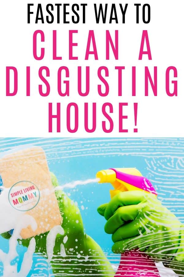 fastest way to clean a disgusting house