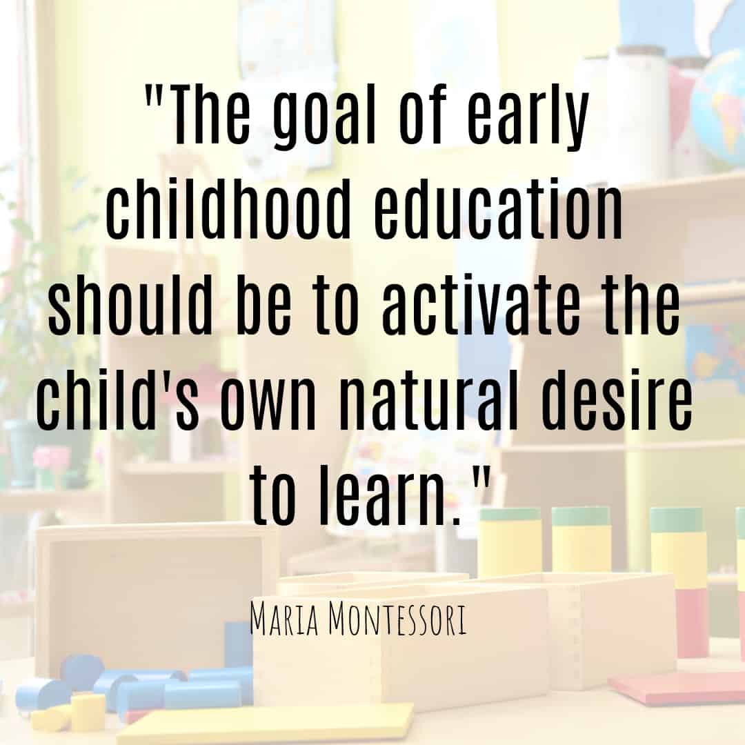 Maria Montessori Quote the goal of early childhood education should be to activate the child's own natural desire to learn.