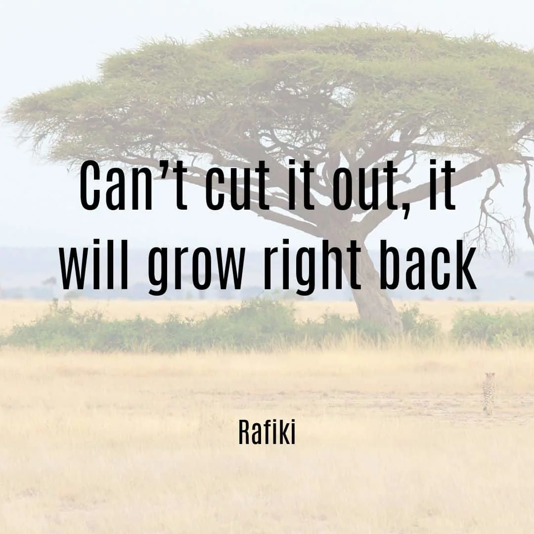 Can't cut it out, it will grow right back Rafiki quote from Lion King