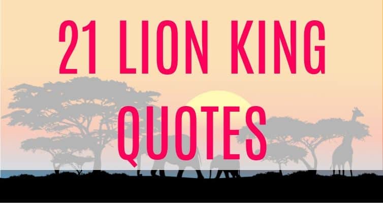 21 Lion King Quotes to inspire you from Mufasa, Simba, Timon, and Rafiki. These are some of favorite Disney quotes