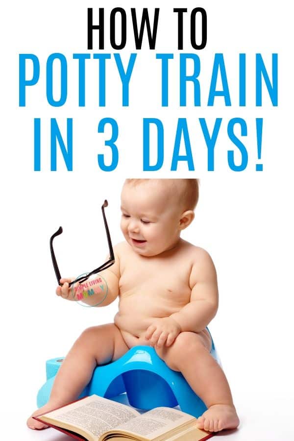 potty train in 3 days