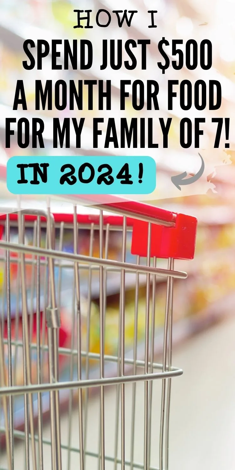 zoomed in image of grocery cart with text overlay that reads "how I spend just $500 a month for food for my family of 7 in 2024"