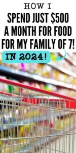 zoomed in image of grocery cart with text overlay that reads "how I spend just $500 a month for food for my family of 7 in 2024"