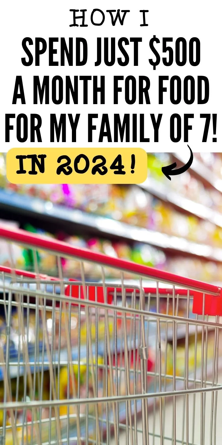 zoomed in image of grocery cart with text overlay that reads "how I spend just $500 a month for food for my family of 7 in 2024"
